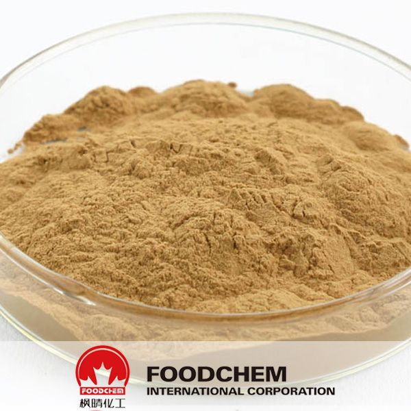 100% Natural Green Coffee Bean Extract Powder