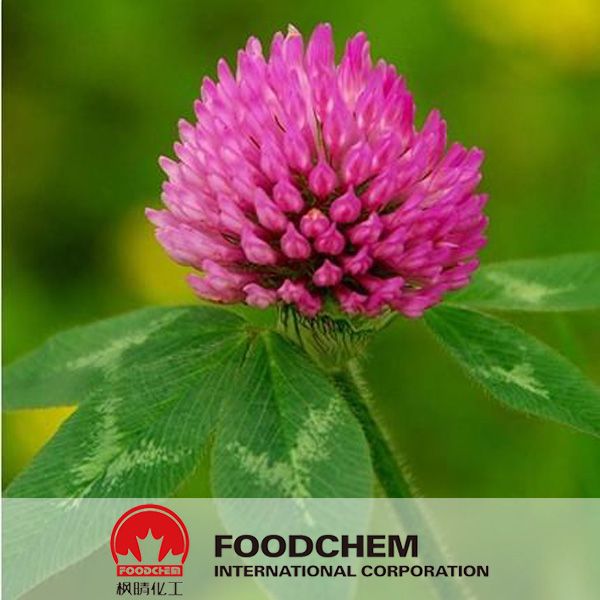 Natural Plant Extract Formononetin Powder