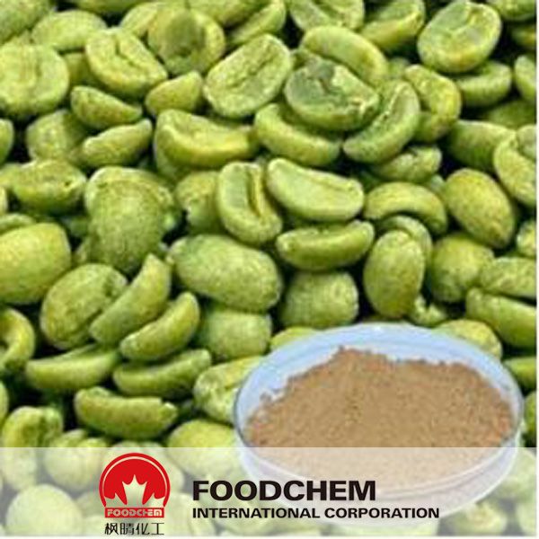 100% Natural Green Coffee Bean Extract Powder