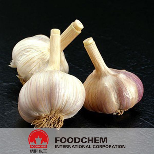 Odorless Garlic Extract Alliin