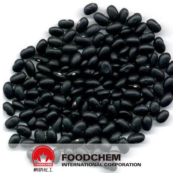 Black Bean Peel Extract Anthocyanin Powder