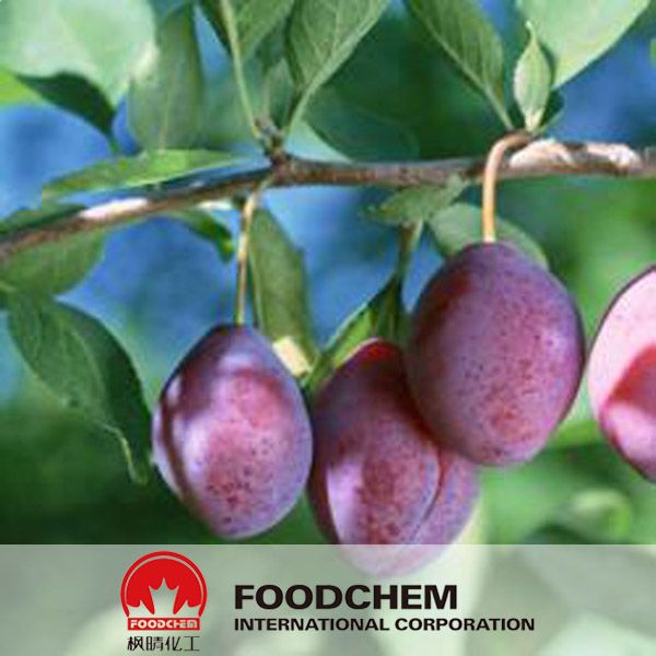 ISO Certificated Plum Fruit Extract