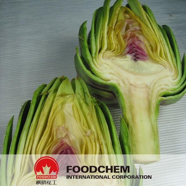 Best Quality Artichoke Plant Extracts