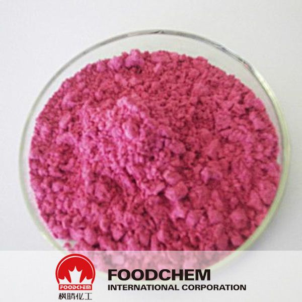 High Qulity Natural Acerola Cherry Extract Powder