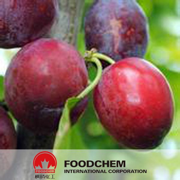 ISO Certificated Plum Fruit Extract
