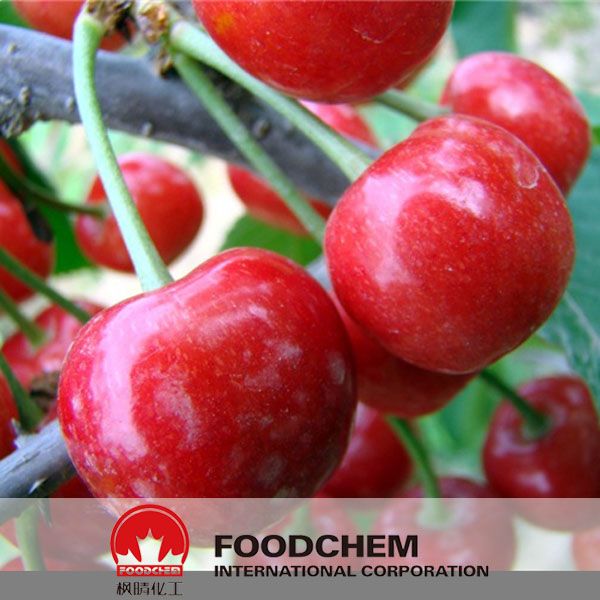 Acerola Cherry Extract Powder With Competitive Price