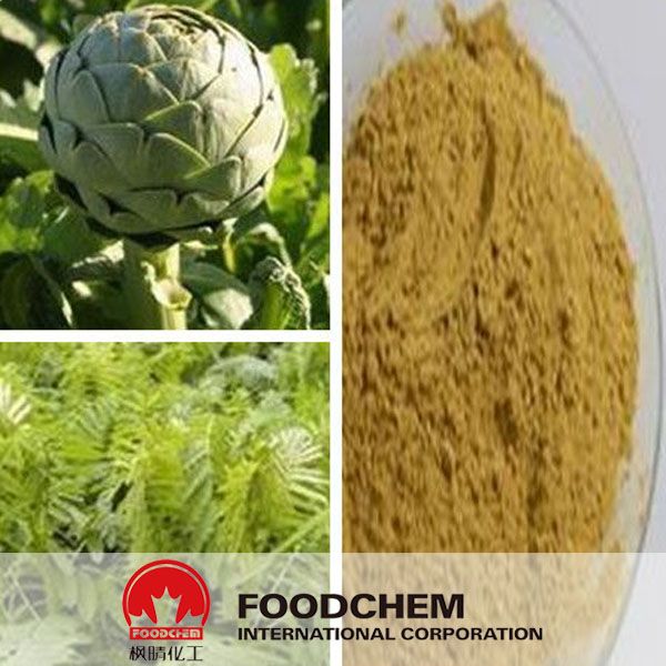 High Quality Artichoke Leaf Extract Cynarin