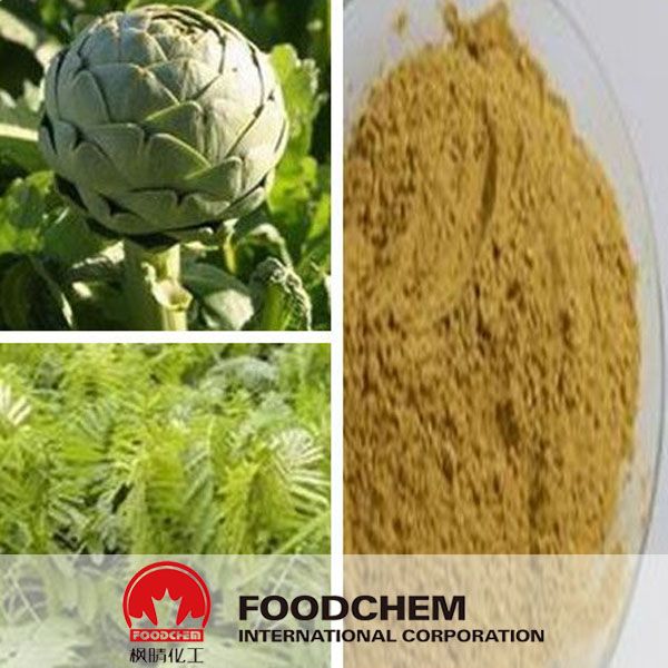 Liver Care Product Artichoke Extract Cynarine