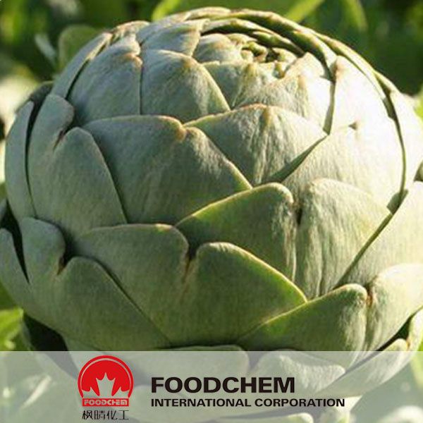 100% Natural Artichoke Leaf Extract Powder