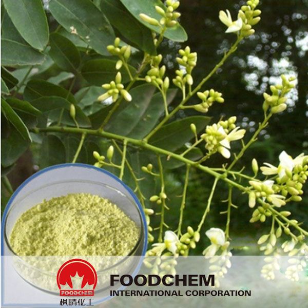 Free Samples Sophora Japonica Flower Extract