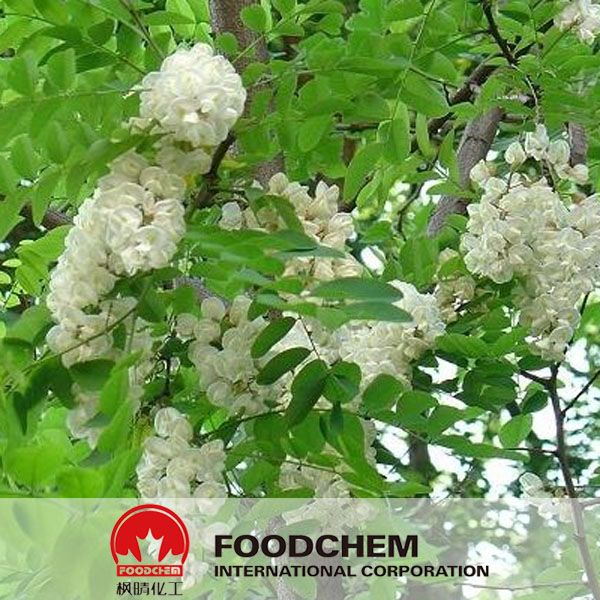 China Wholesale Sophora Japonica Extract Quercetin