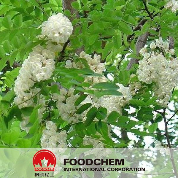 Quercetin Supplier From China