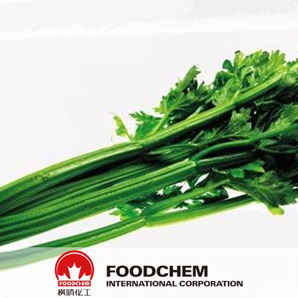 Natural Celery Extract 98% Apigenin