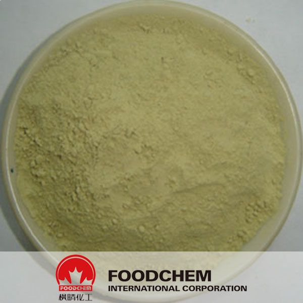 100% Natural Hoodia Cactus Extract Powder