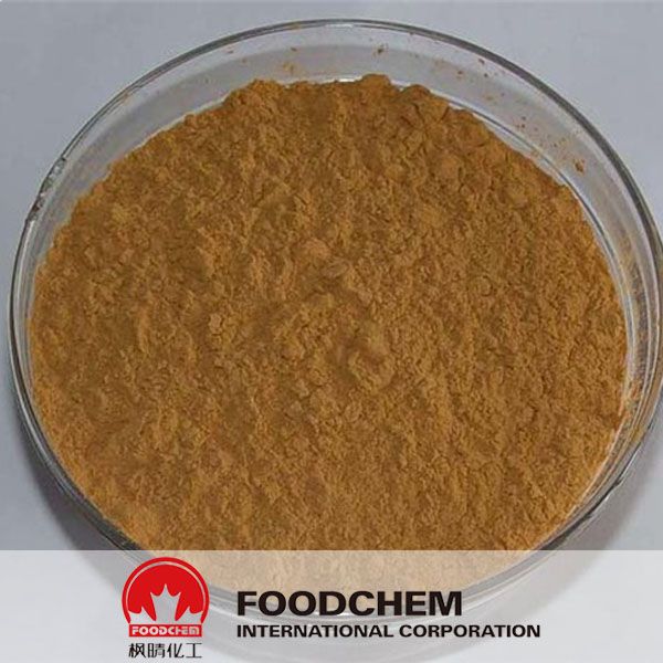 Natural Chinese Hawthorn Fruit Extract