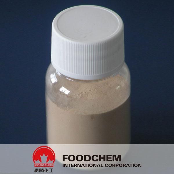 High Quality Hydrolyzed Vegetable Protein