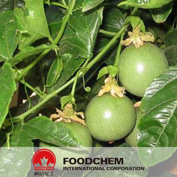 Herb Medicine Passiflora Incarnata Extract
