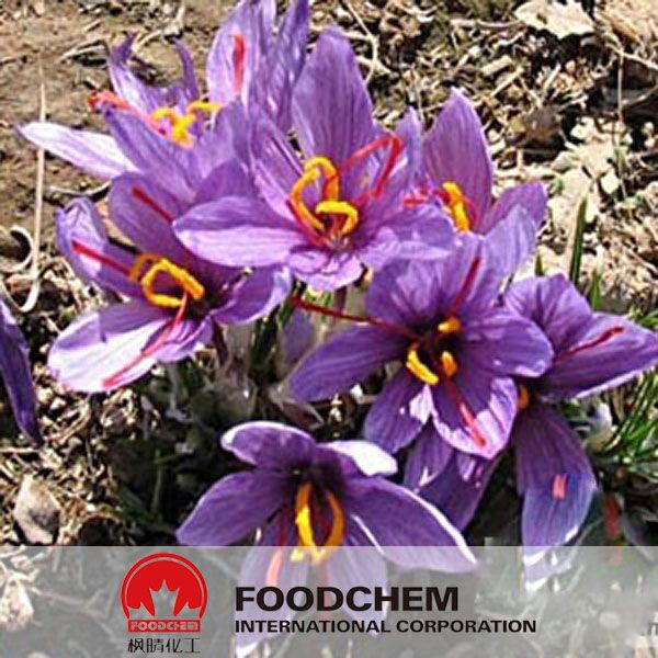 Herbal Medicine Pure Saffron Extract