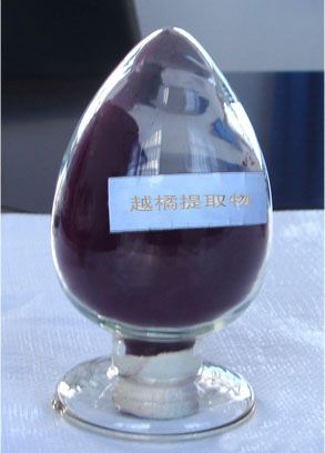 Bilberry Extract Anthocyanin