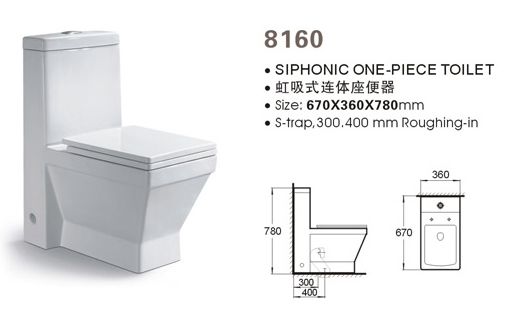 Siphonic one-piece toilet XB-8160