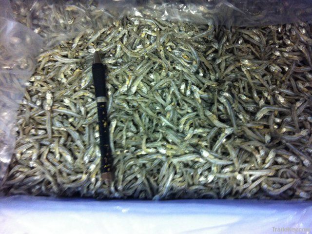 Dried Anchovy / Sprats