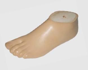 Prosthetic SACH Foot