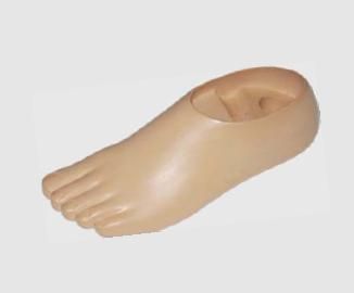 Single Axis Foot