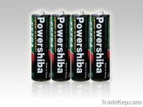 R6/AA battery