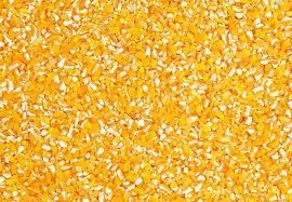 corn grains 