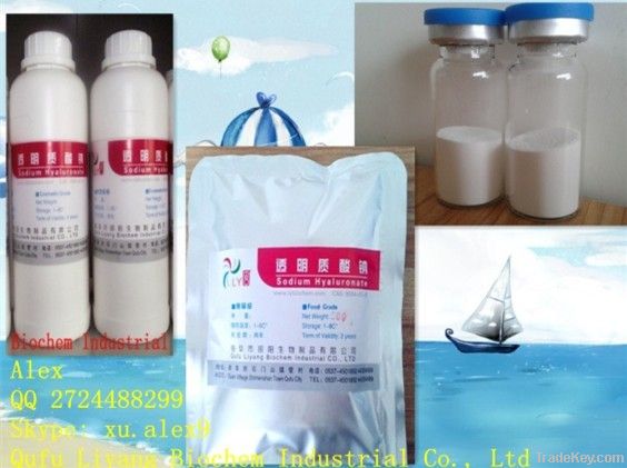 Hyaluonan, Hyaluronic acid dermal filler, hyaluronic acid gel, HA