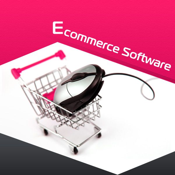 Ecommerce Website Design and Development