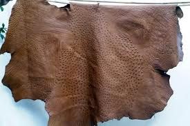 Ostrich Leather