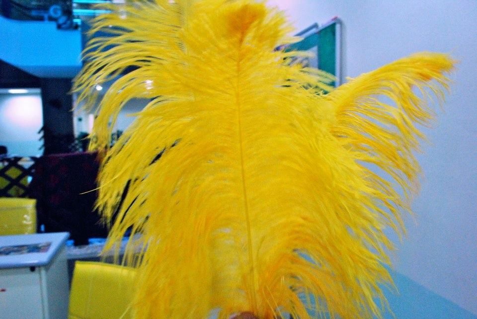 Bleached Ostrich Feather