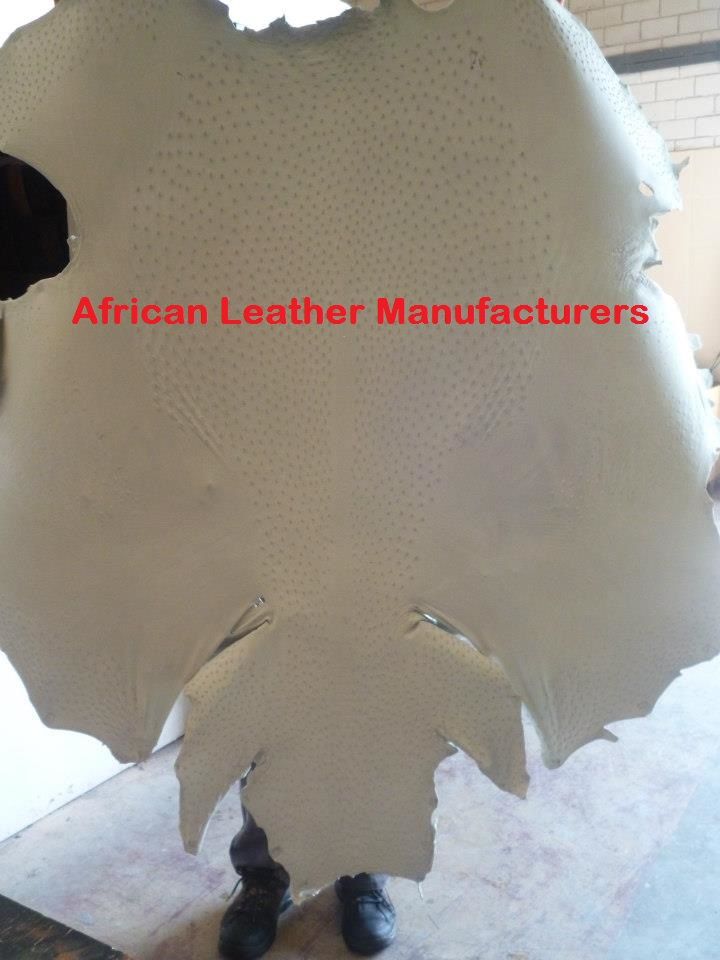 Crust Ostrich Leather