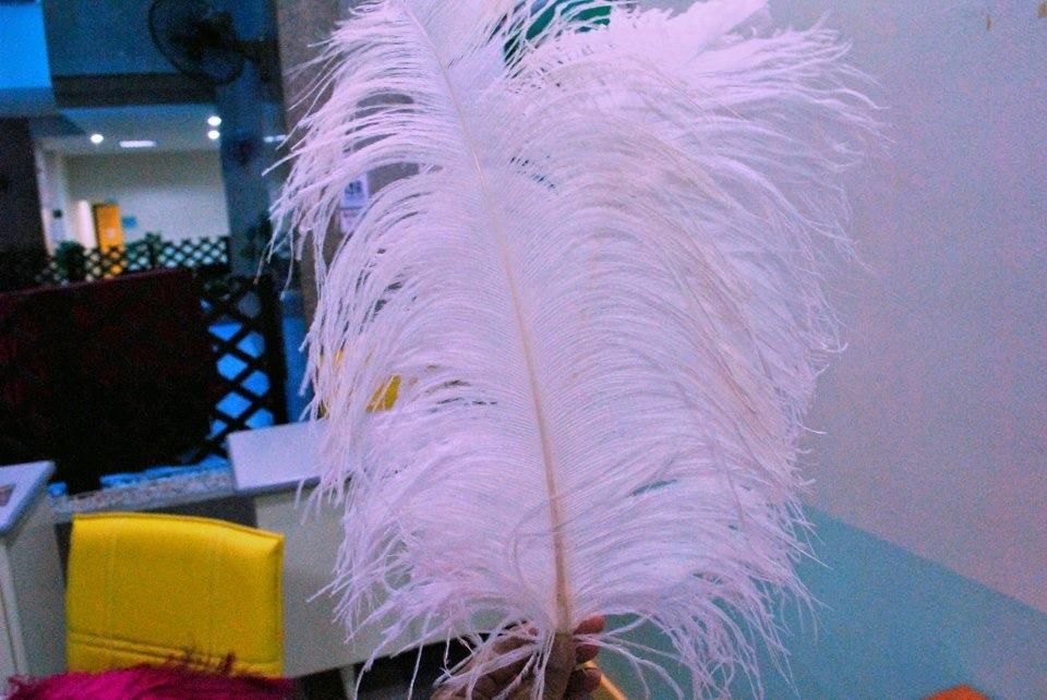 Bleached Ostrich Feather