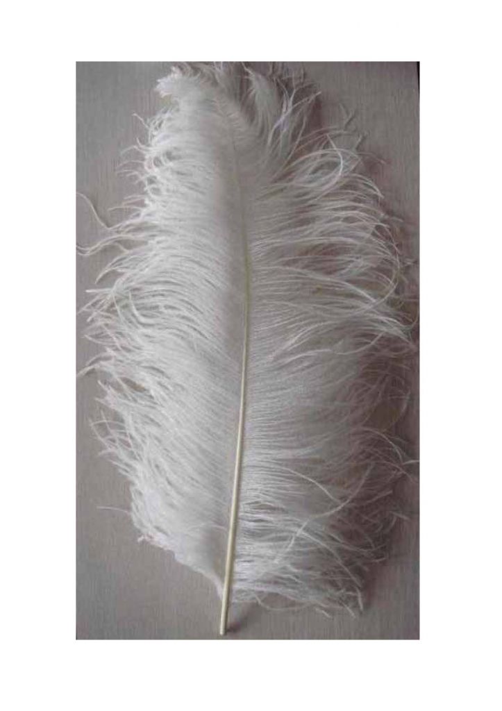 Natural Grey Ostrich Feather