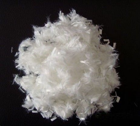 Polyester Fiber