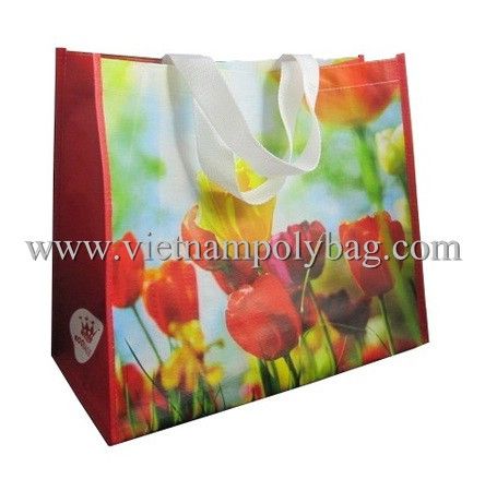 vietnam pp woven shopping bag