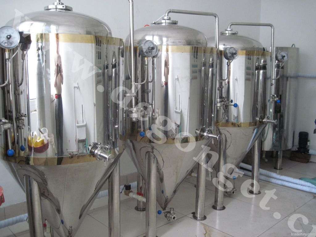 DG-100L small craft beer brewery equipment for home/restaurant