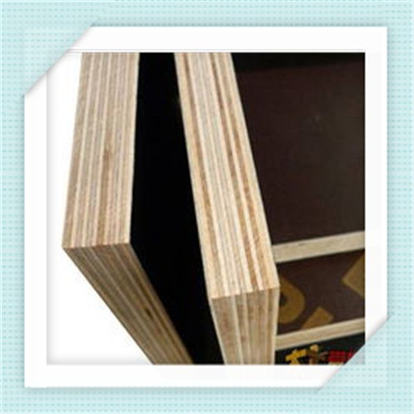 GIGA commercial plywood/bulk laminated plywood
