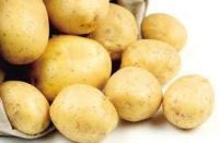 Fresh Potato