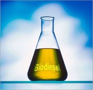 Biodiesel and glycerol