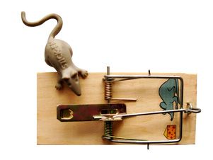 wooden mouse trap, rat trap