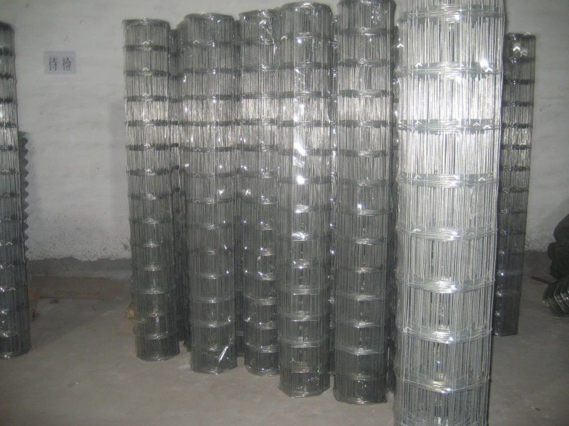 Field Fence, Hot Sale with Package of 20 Rolls/Pallet