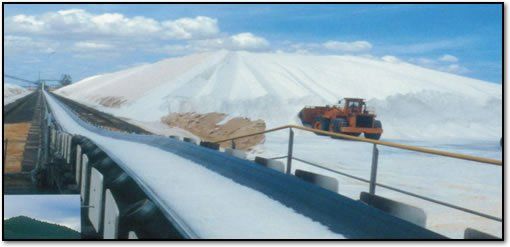 Cold Resistant Conveyor Belt