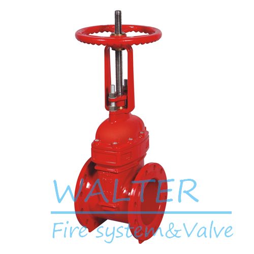 BS5163 cast iron gate valve
