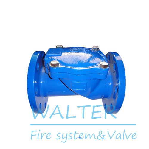 Swing Check Valve