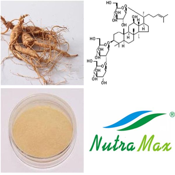 Ginseng Root Extract 80% Ginsenosides