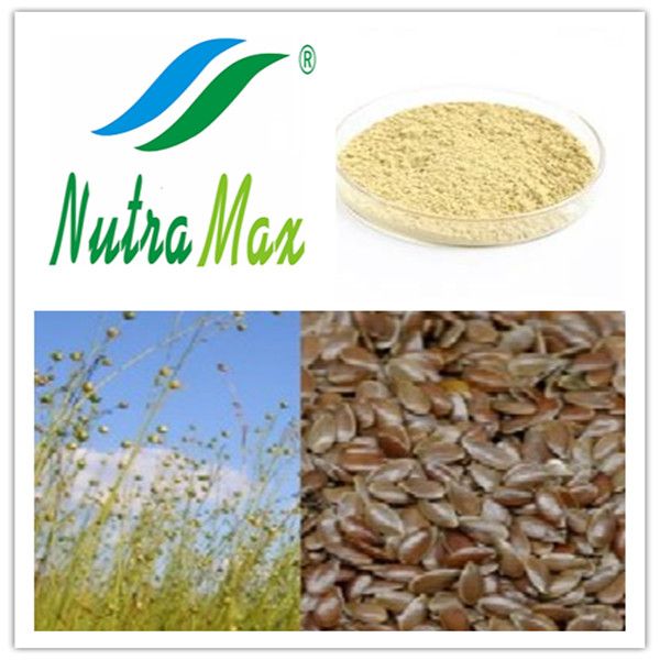 Flaxseed Hull Extract 20%~80%  