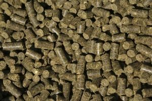 wood pellet-BIOMASS 4800 KCal/Kg